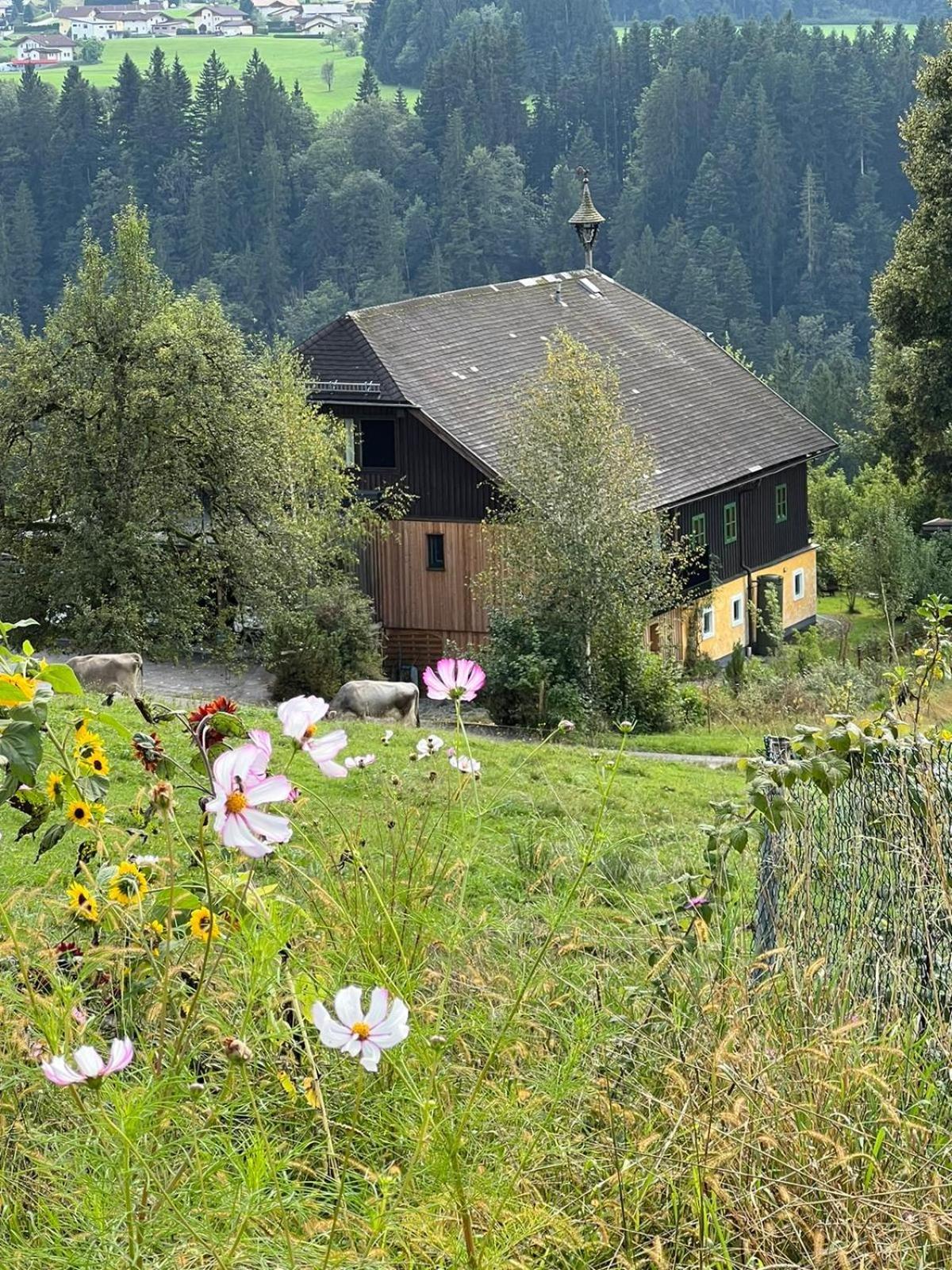 Apartment Stillleben Luxus Fuer Die Seele Abtenau Exterior photo